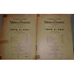 Schémas d'anatomie - Tête et cou 1ère et 2ème partie