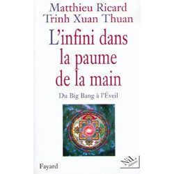 L'Infini dans la paume de la main : Du Big Bang à l'Eveil
