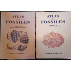 Atlas des fossiles- Fascicule 1 ( Fossiles primaires et...